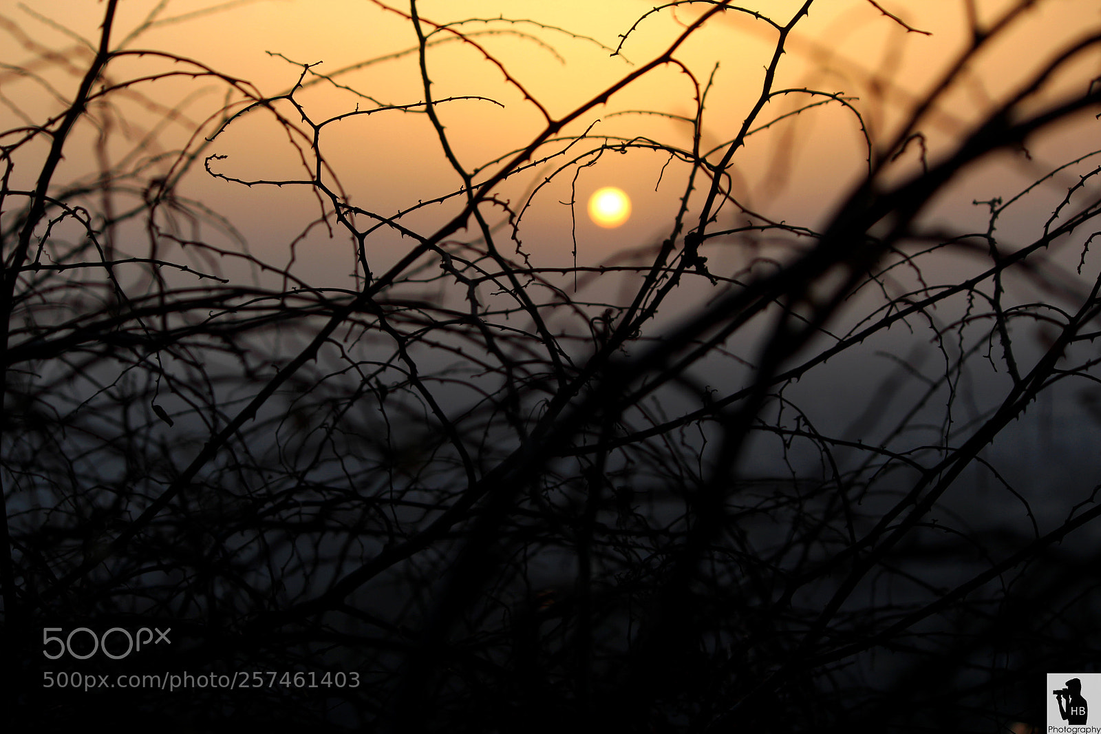 Canon EOS 1200D (EOS Rebel T5 / EOS Kiss X70 / EOS Hi) sample photo. Sunset photography