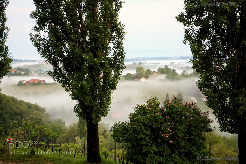 Canon EOS 70D sample photo. Breathtaking morning v jeruzalem photography