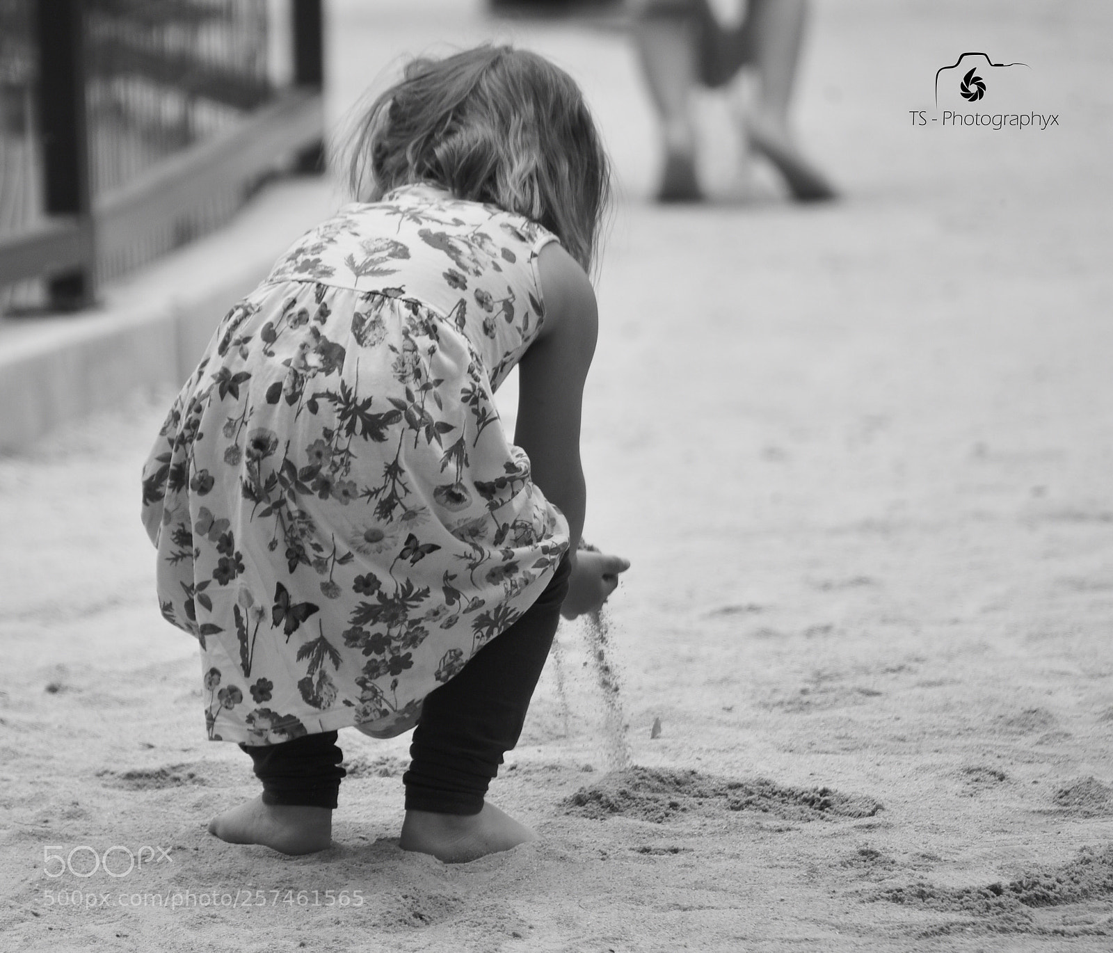 Nikon D750 sample photo. Untitled photography