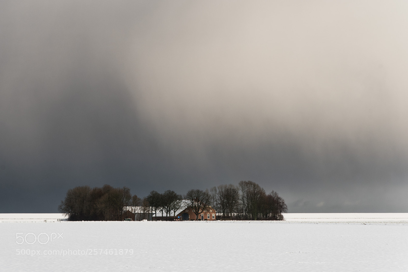Nikon D750 sample photo. Farm in snowstorm photography