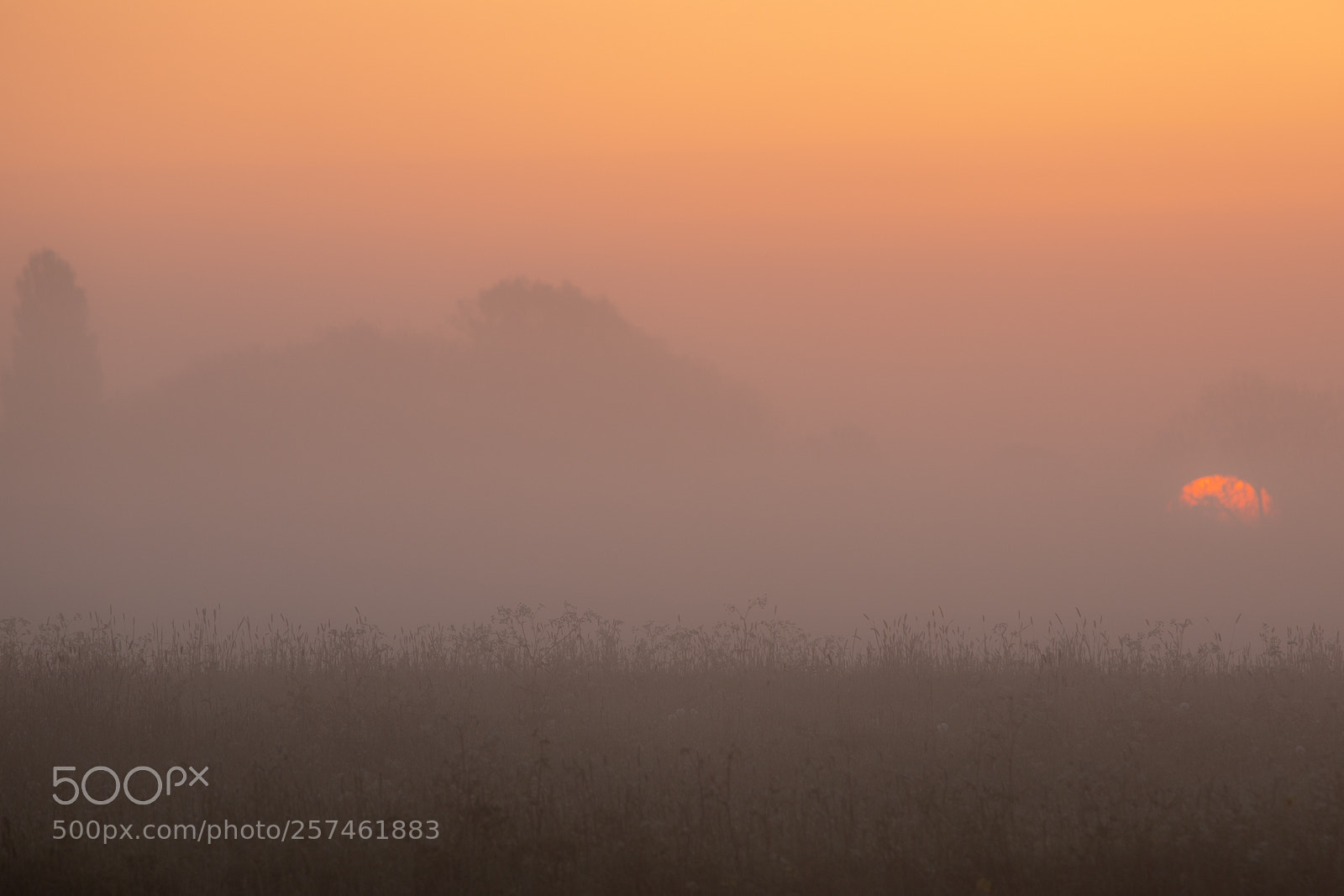 Canon EOS 6D Mark II sample photo. Here comes the sun photography