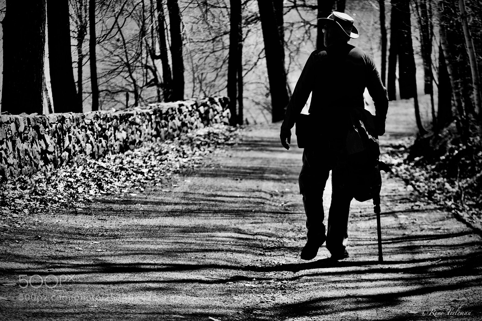 Nikon D500 sample photo. Walking photography