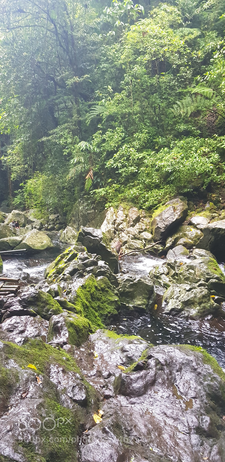 Samsung Galaxy S8+ sample photo. The river photography