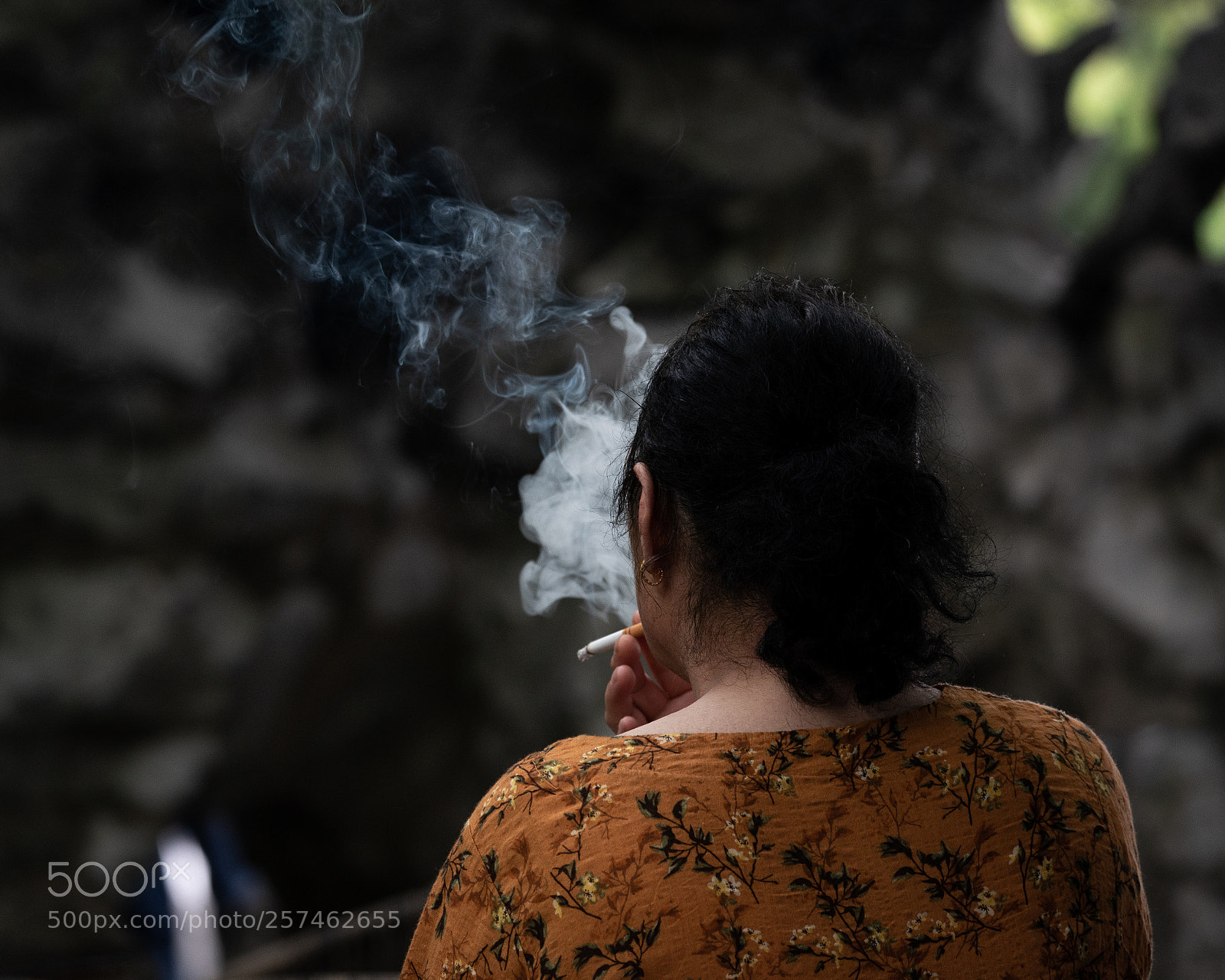 Nikon D750 sample photo. Untitled photography