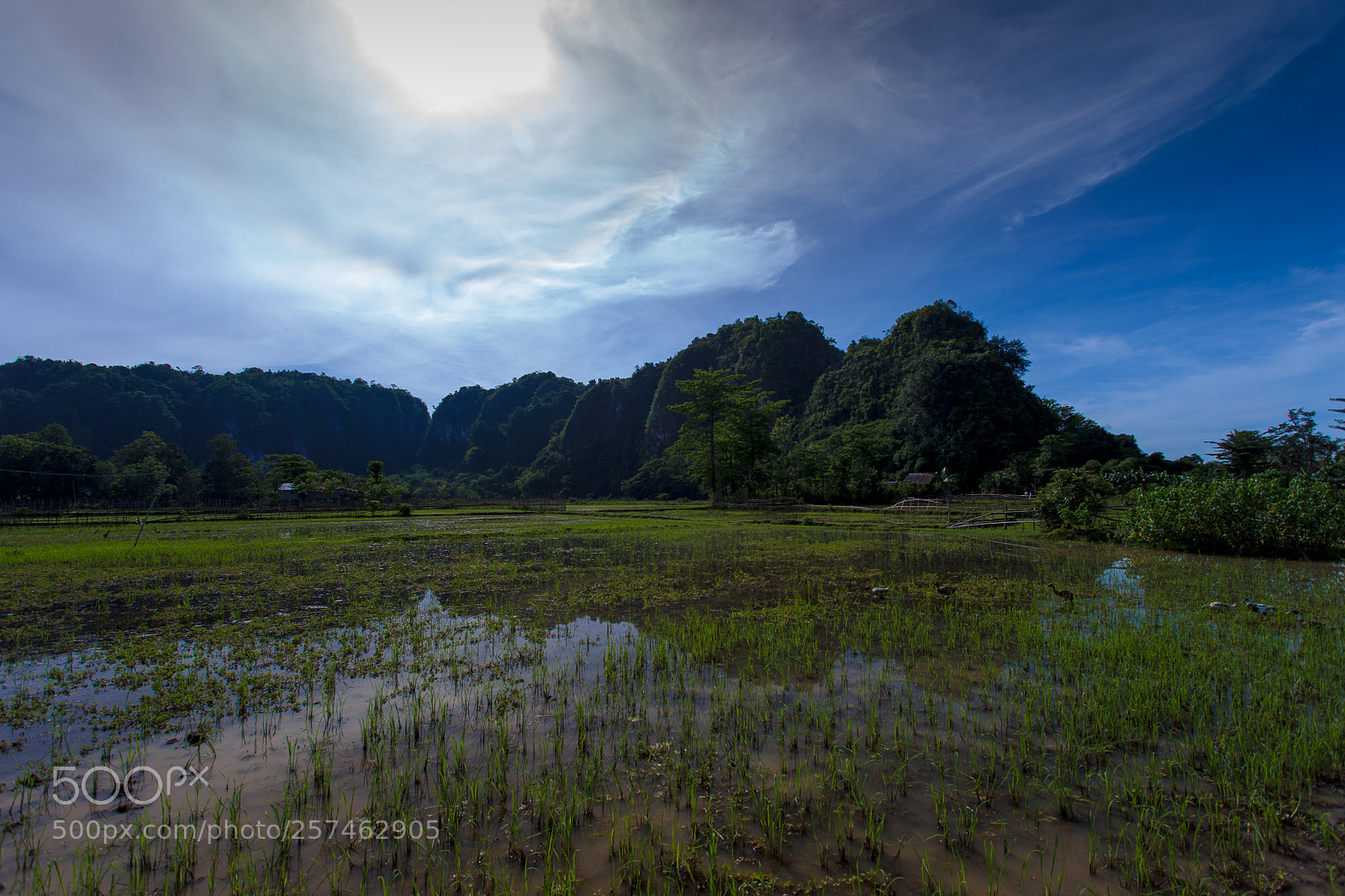 Canon EOS 5D Mark II sample photo. Limestone garden maros photography