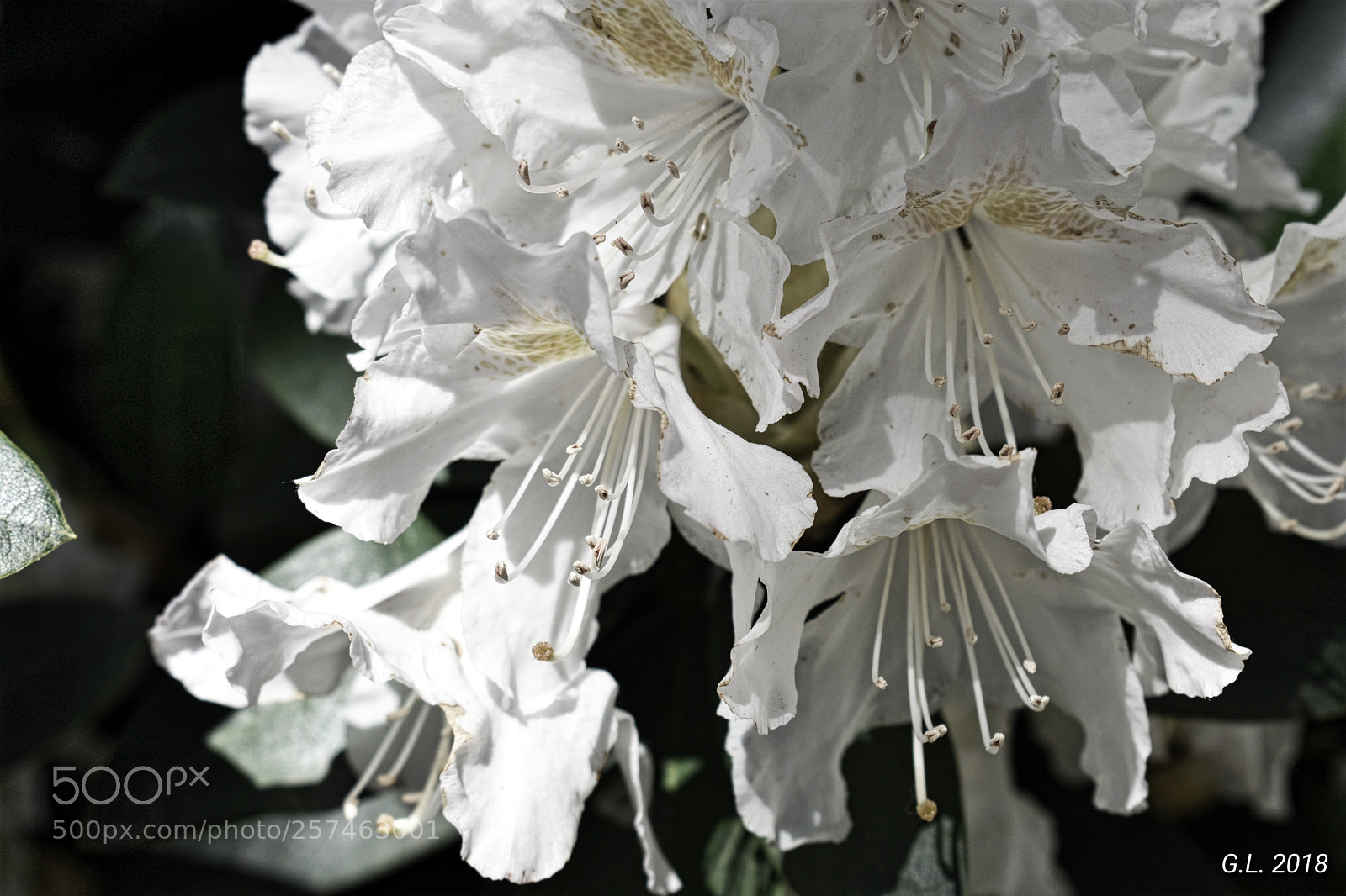 Nikon D3400 sample photo. Untitled photography