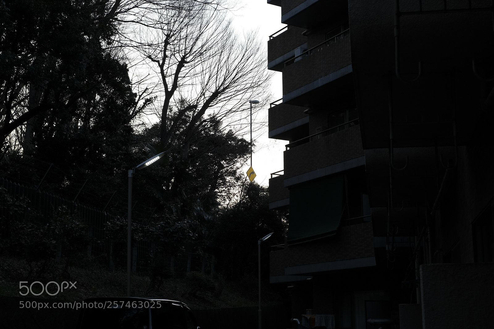 Fujifilm X-Pro2 sample photo. Untitled photography