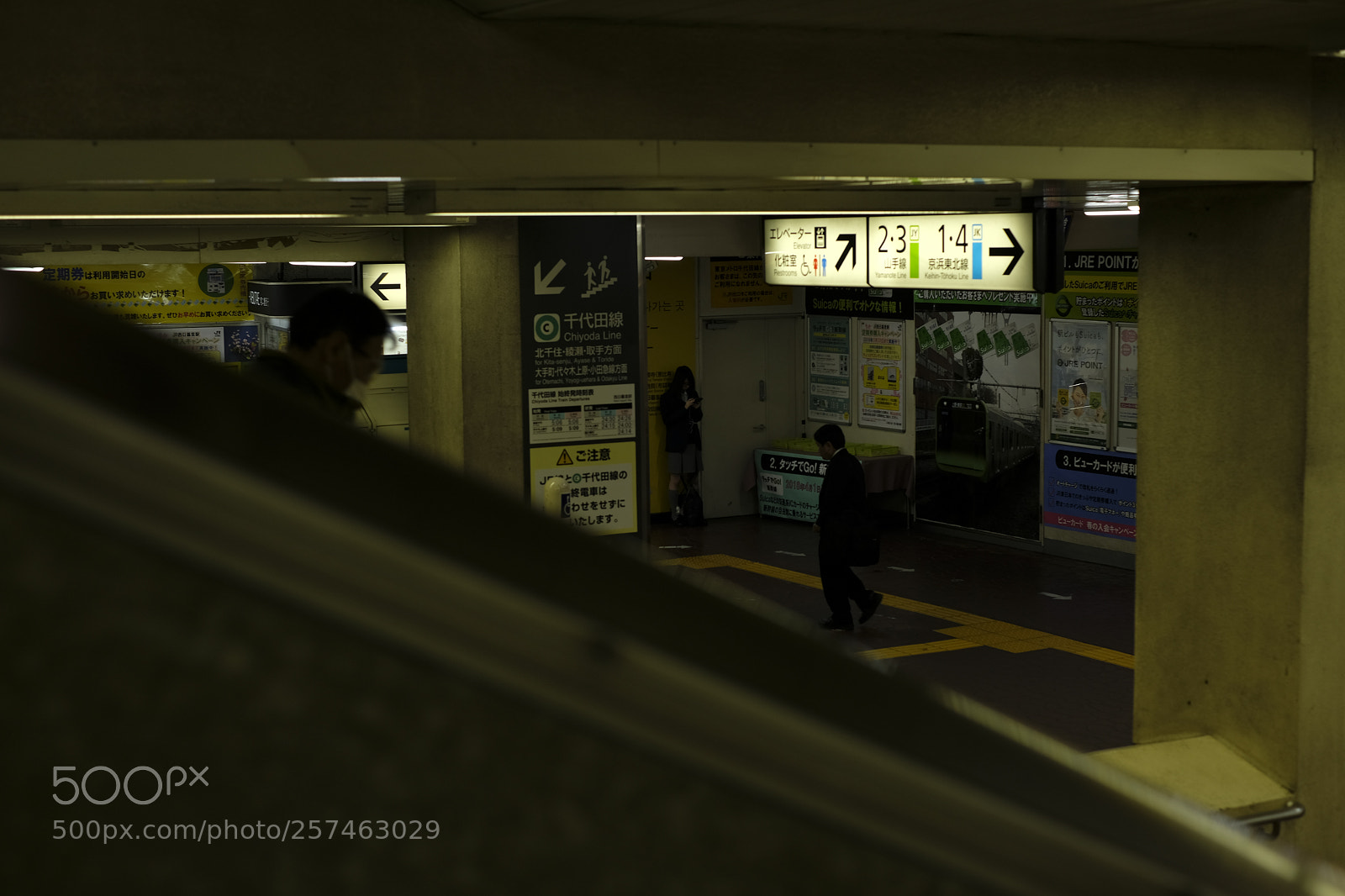 Fujifilm X-Pro2 sample photo. Untitled photography