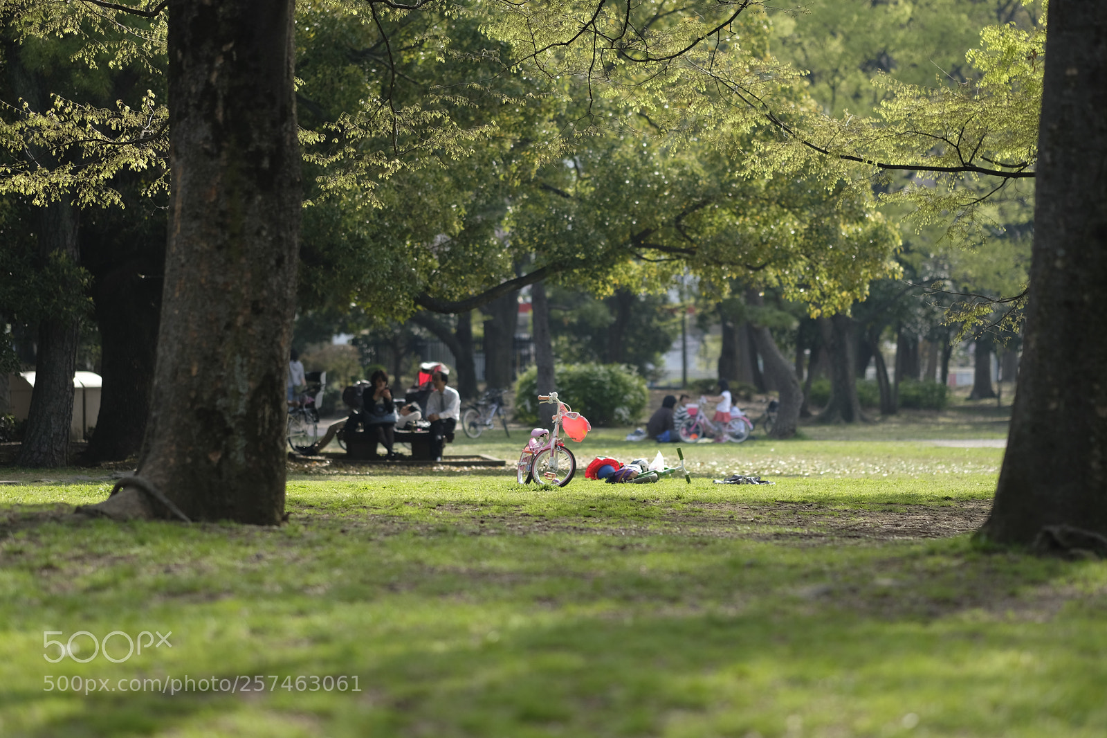 Fujifilm X-Pro2 sample photo. Untitled photography