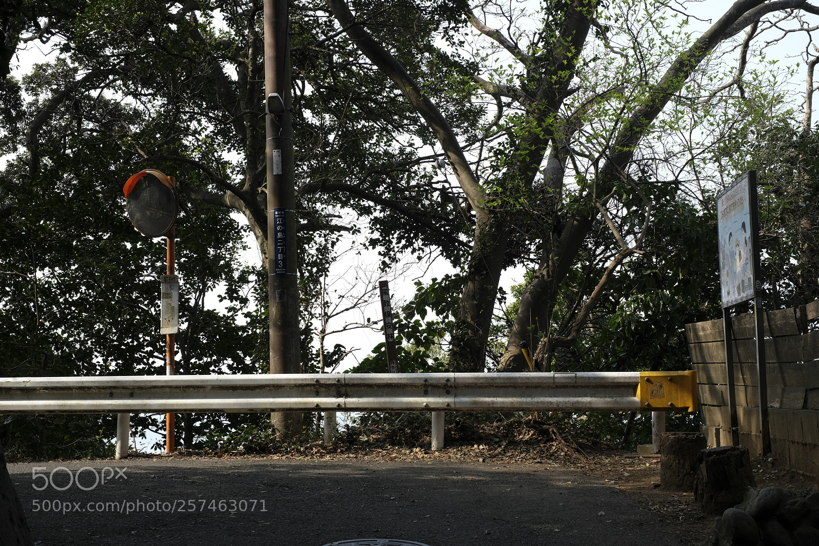Fujifilm X-Pro2 sample photo. Untitled photography