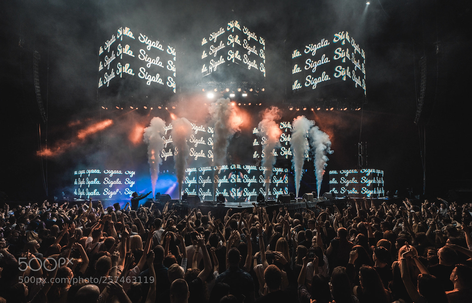 Sony a7R III sample photo. Sigala by michael kaysar photography