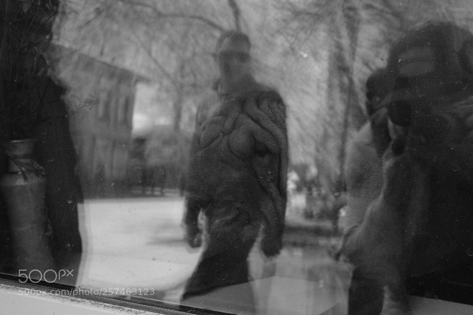 Fujifilm X100F sample photo. Untitled photography