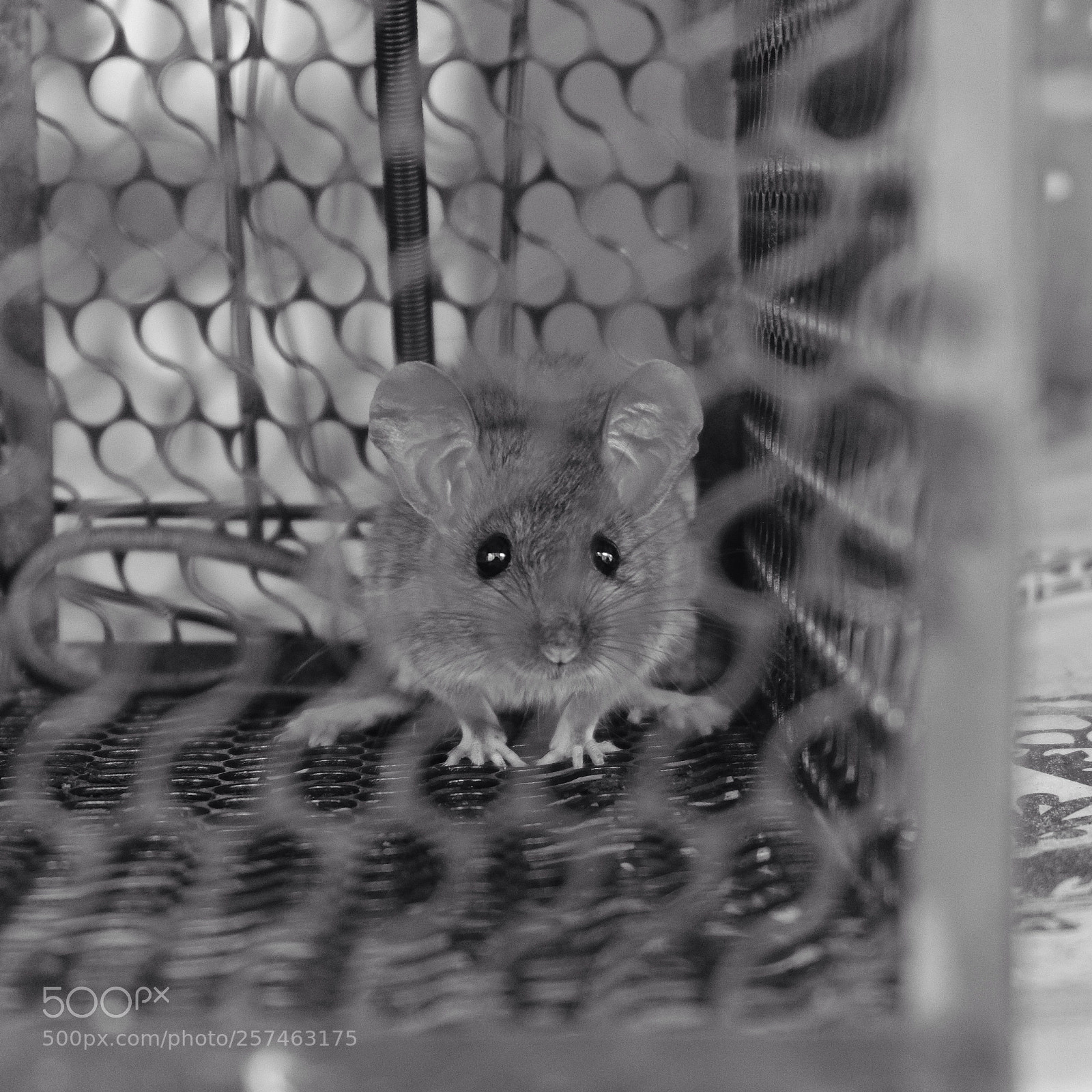 Fujifilm X-T20 sample photo. Untitled photography