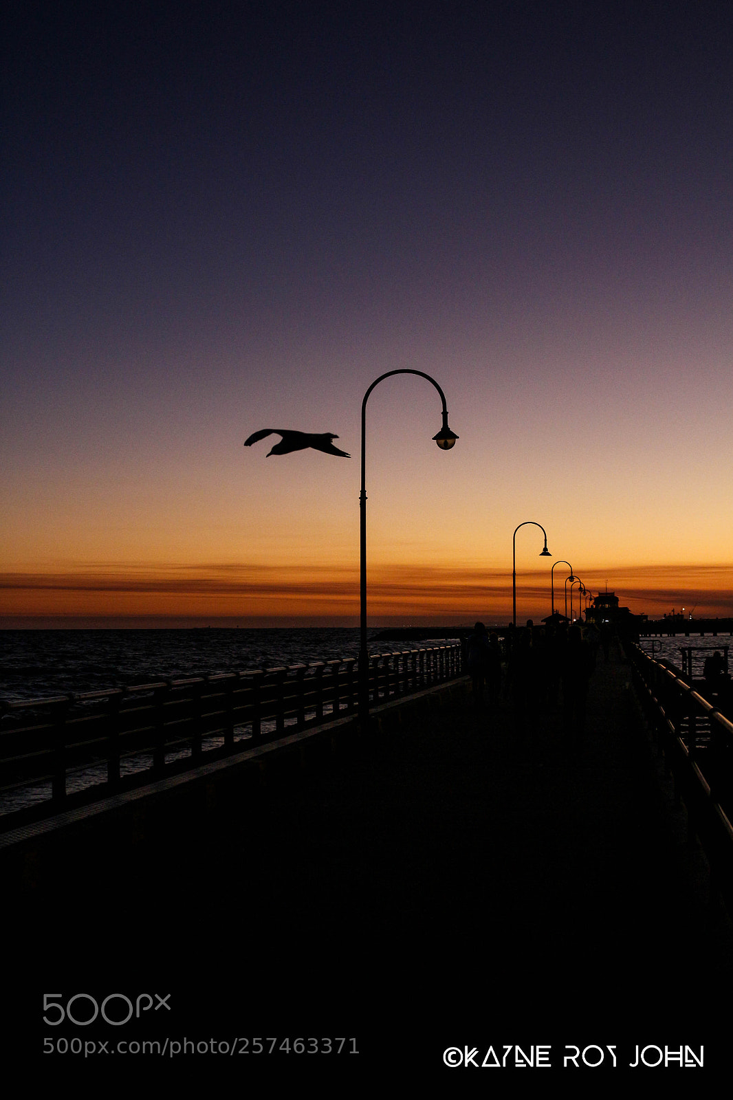 Canon EOS 700D (EOS Rebel T5i / EOS Kiss X7i) sample photo. Img photography