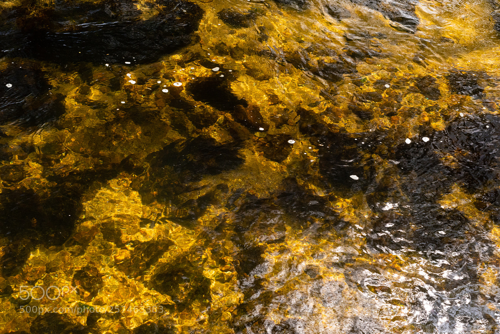 Nikon D810 sample photo. Golitha falls l photography