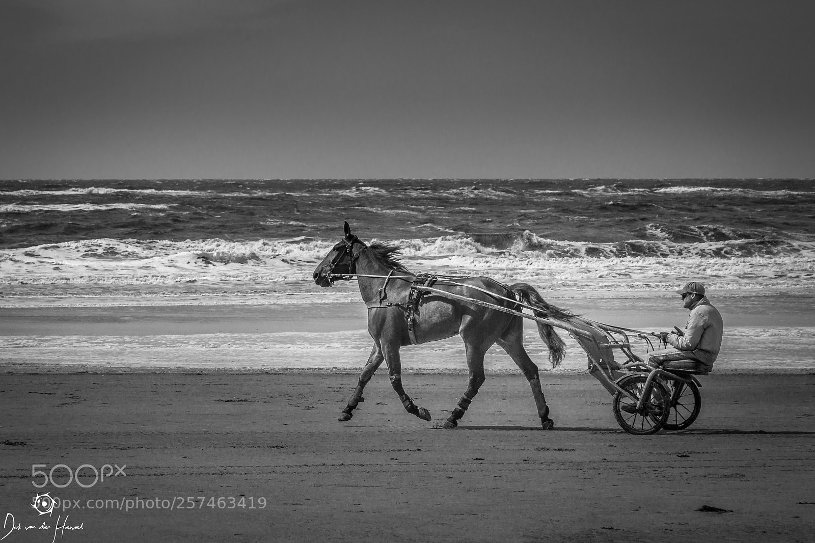 Canon EOS 6D sample photo. Horse riding on the photography