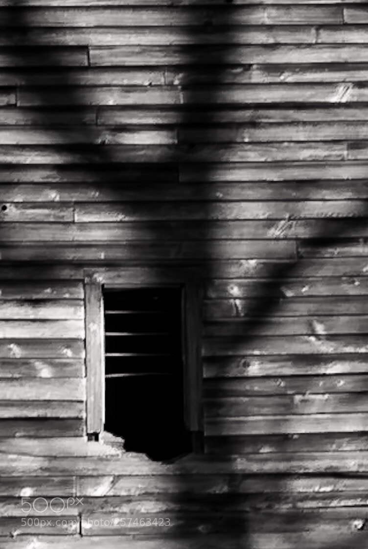 Nikon D750 sample photo. Windows of a barn photography