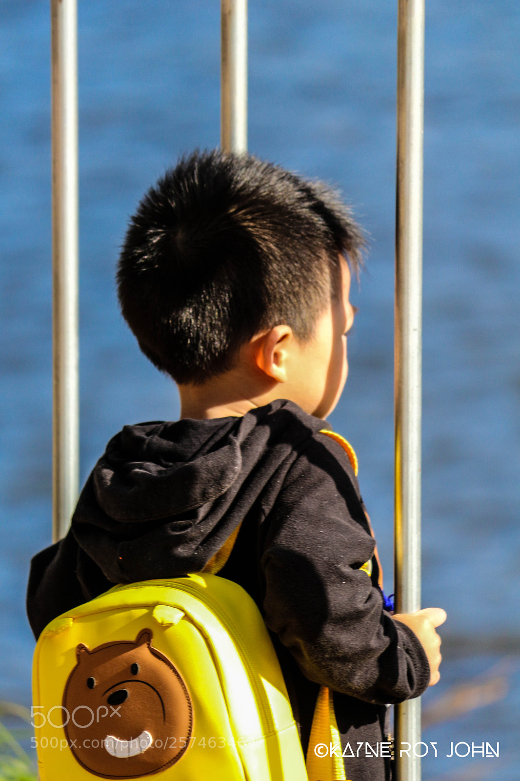 Canon EOS 700D (EOS Rebel T5i / EOS Kiss X7i) sample photo. Img photography