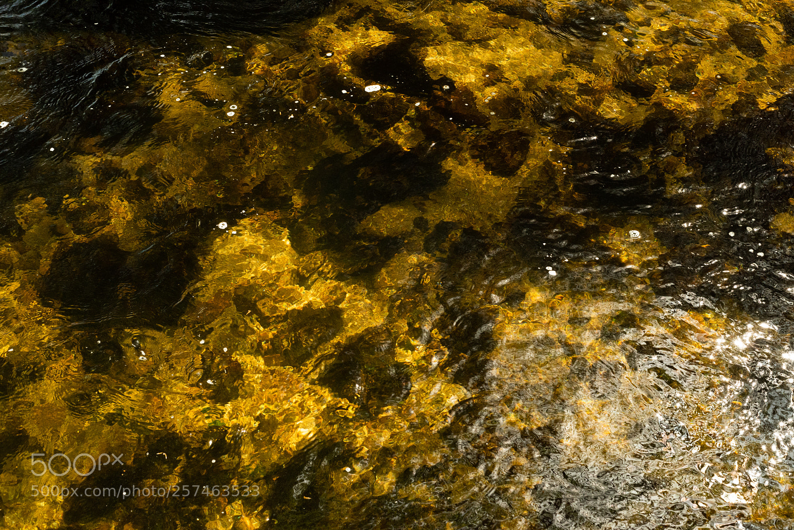 Nikon D810 sample photo. Golitha falls ll photography