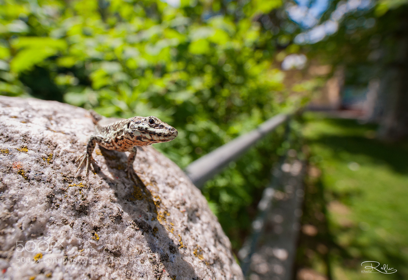 Nikon D3 sample photo. Untitled photography