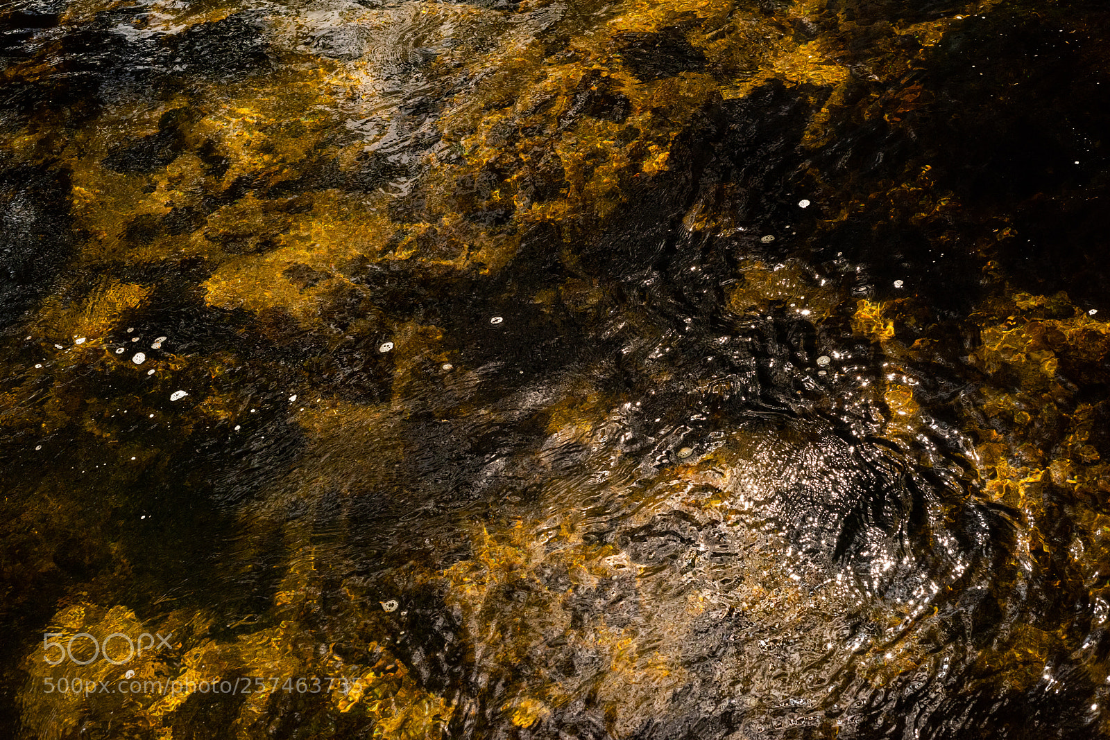 Nikon D810 sample photo. Golitha falls lll photography