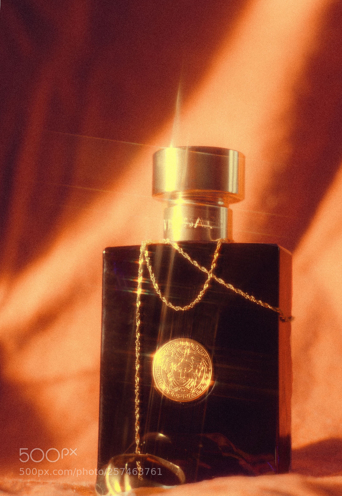 Nikon D610 sample photo. Versace✨ photography