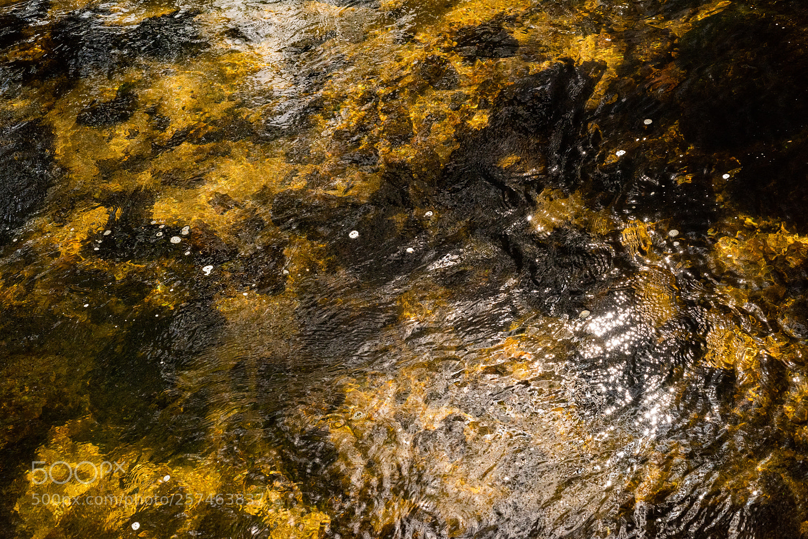 Nikon D810 sample photo. Golitha falls lv photography