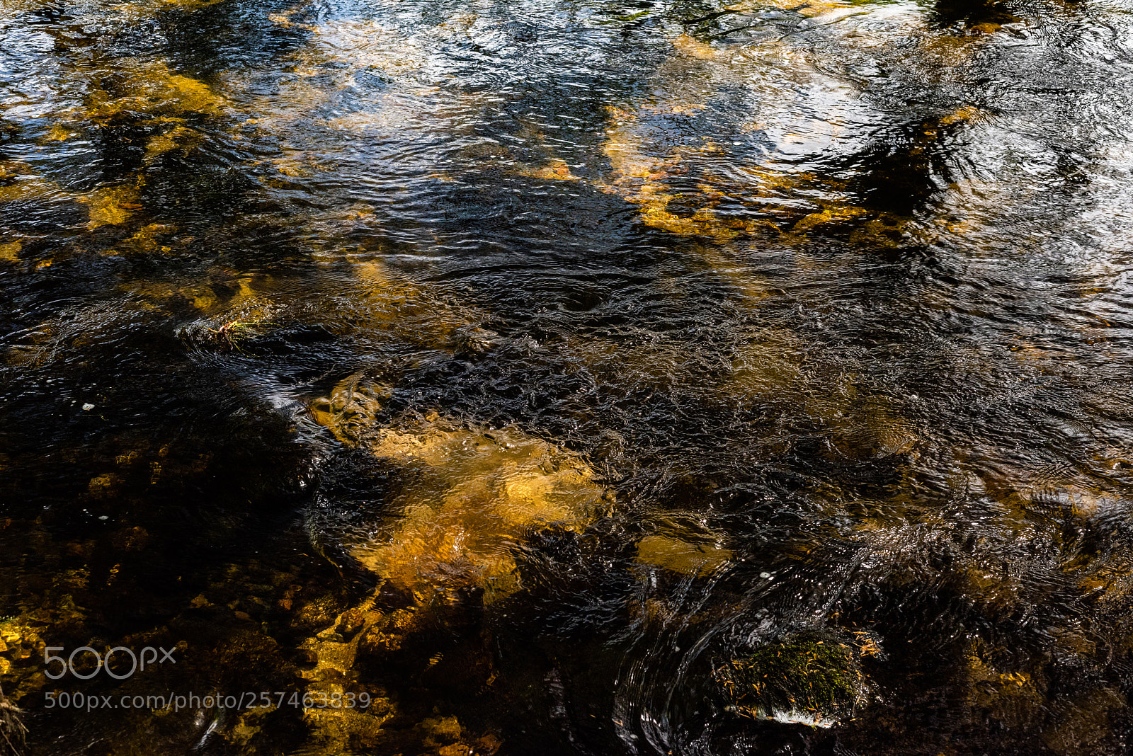 Nikon D810 sample photo. Golitha falls v photography