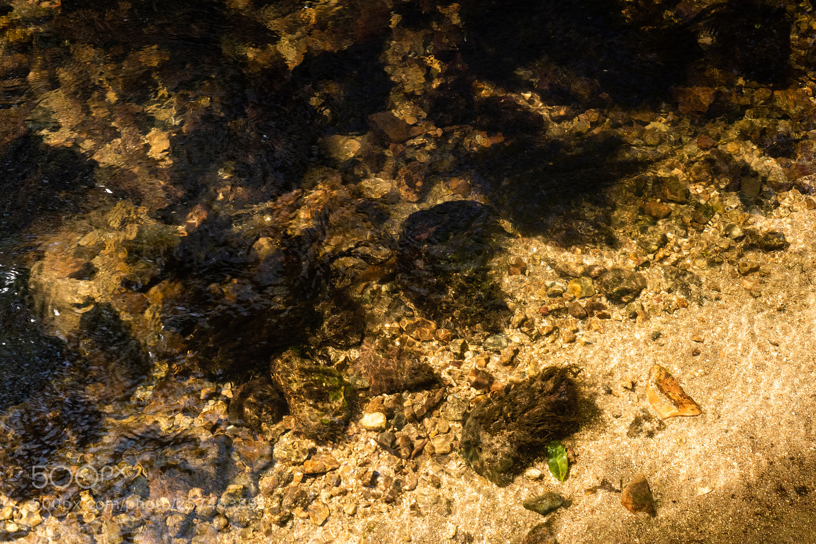 Nikon D810 sample photo. Golitha falls vl photography
