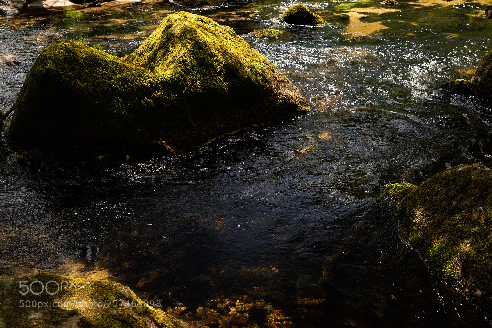 Nikon D810 sample photo. Golitha falls vlll photography