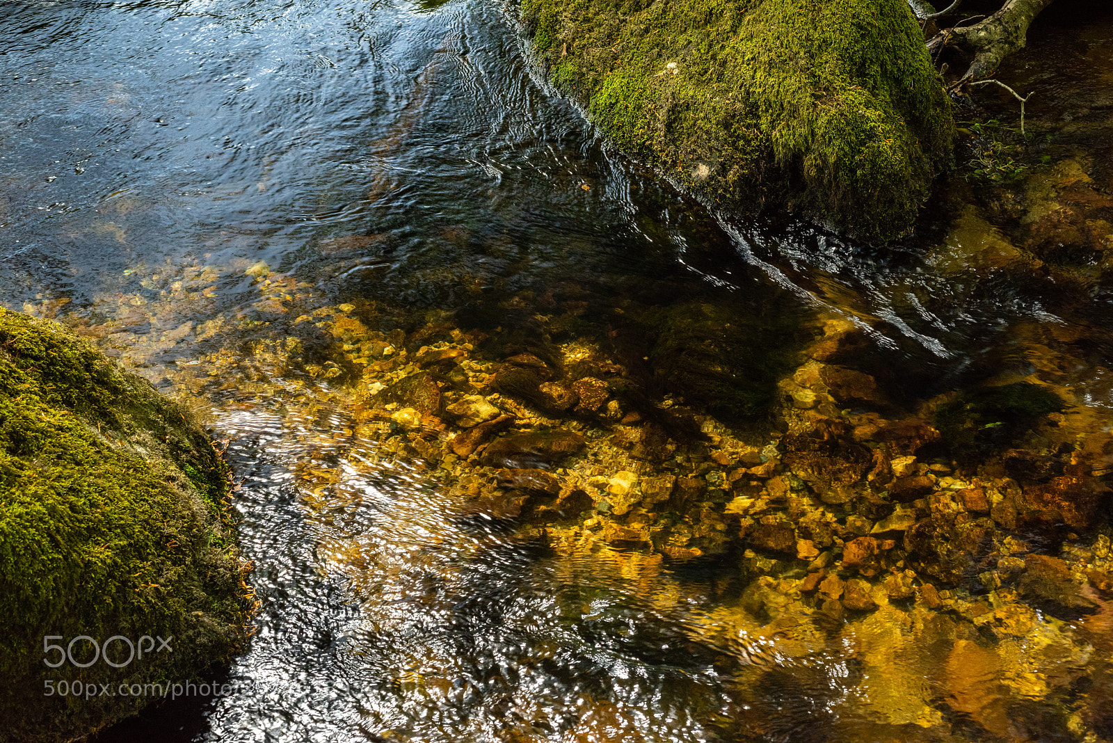 Nikon D810 sample photo. Golitha falls vll photography