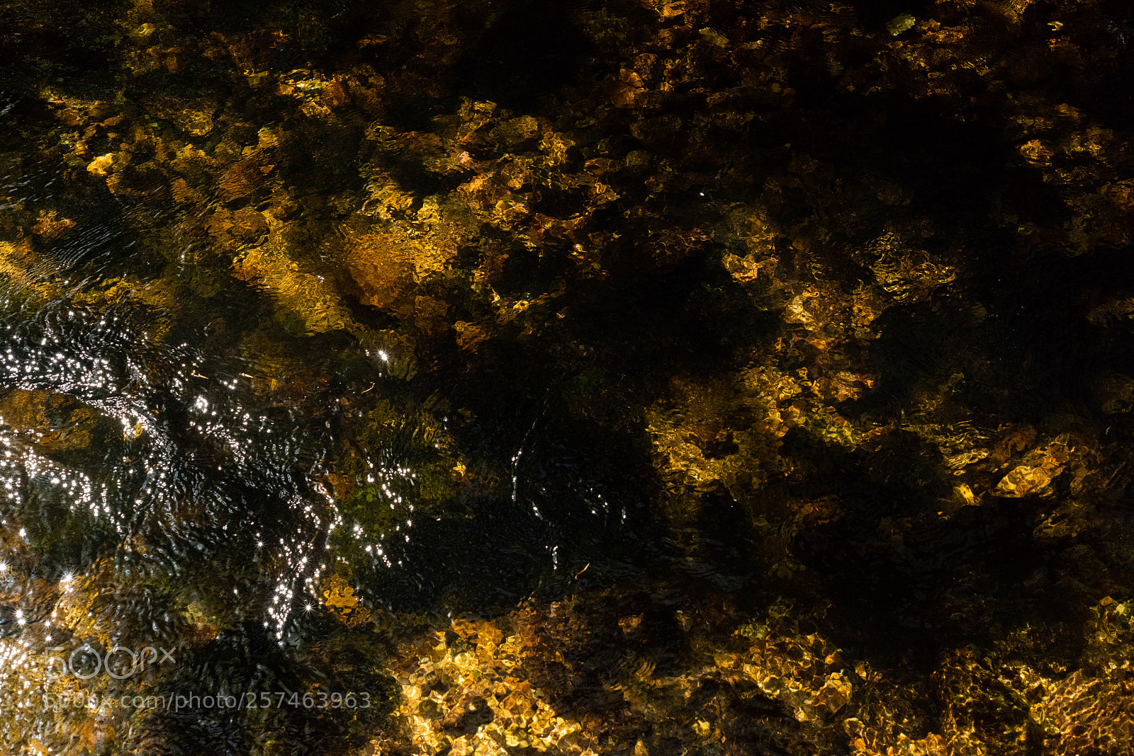 Nikon D810 sample photo. Golitha falls lx photography