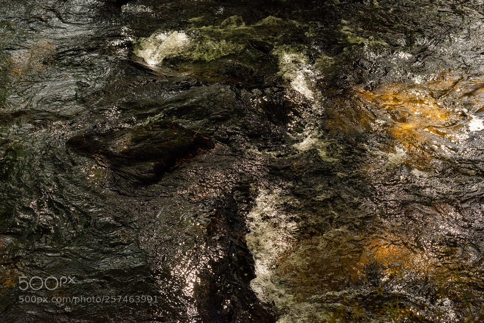 Nikon D810 sample photo. Golitha falls x photography