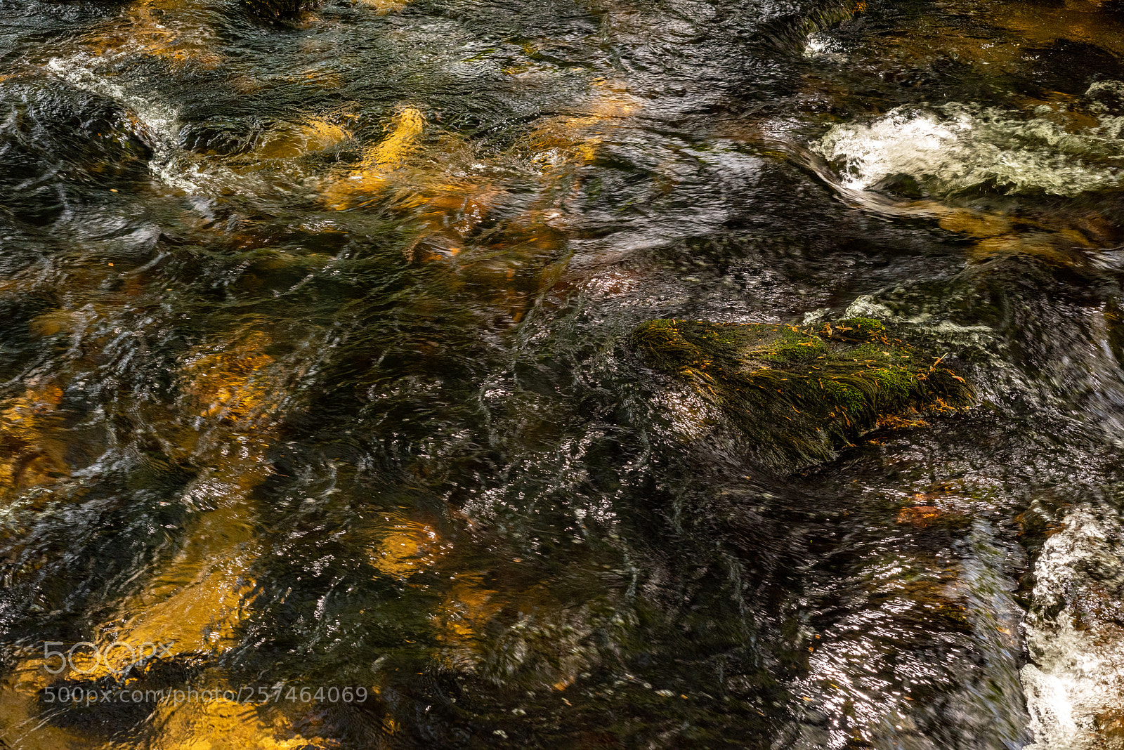 Nikon D810 sample photo. Golitha falls xl photography