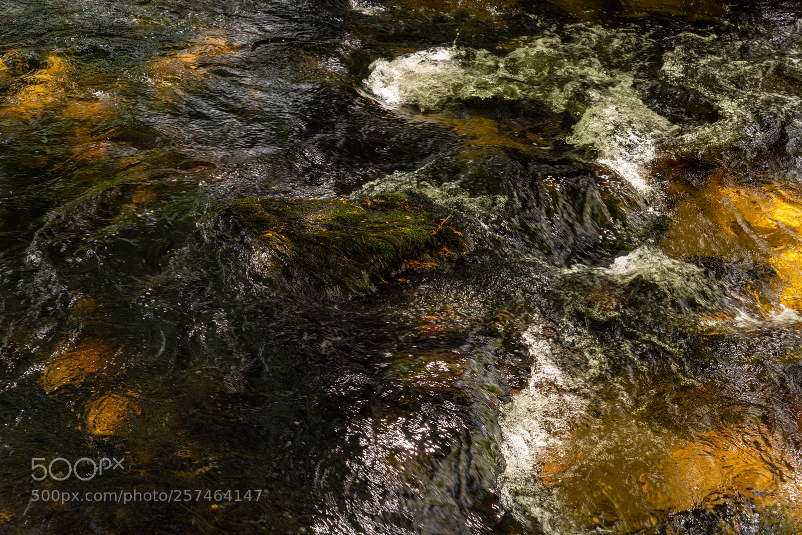 Nikon D810 sample photo. Golitha falls xll photography