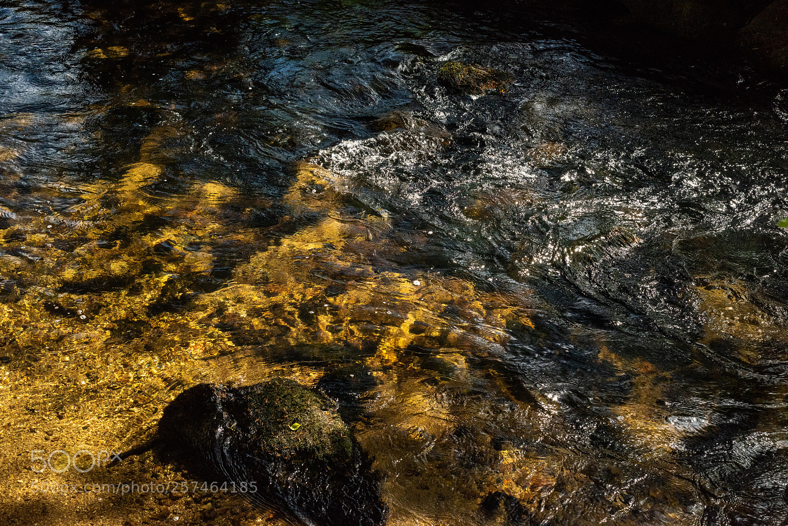 Nikon D810 sample photo. Golitha falls xlll photography