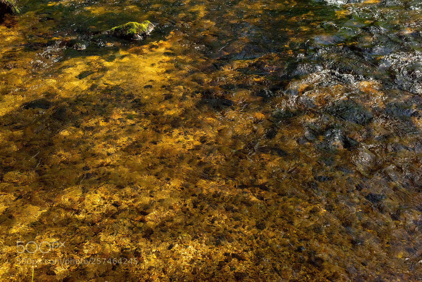 Nikon D810 sample photo. Golitha falls xlv photography