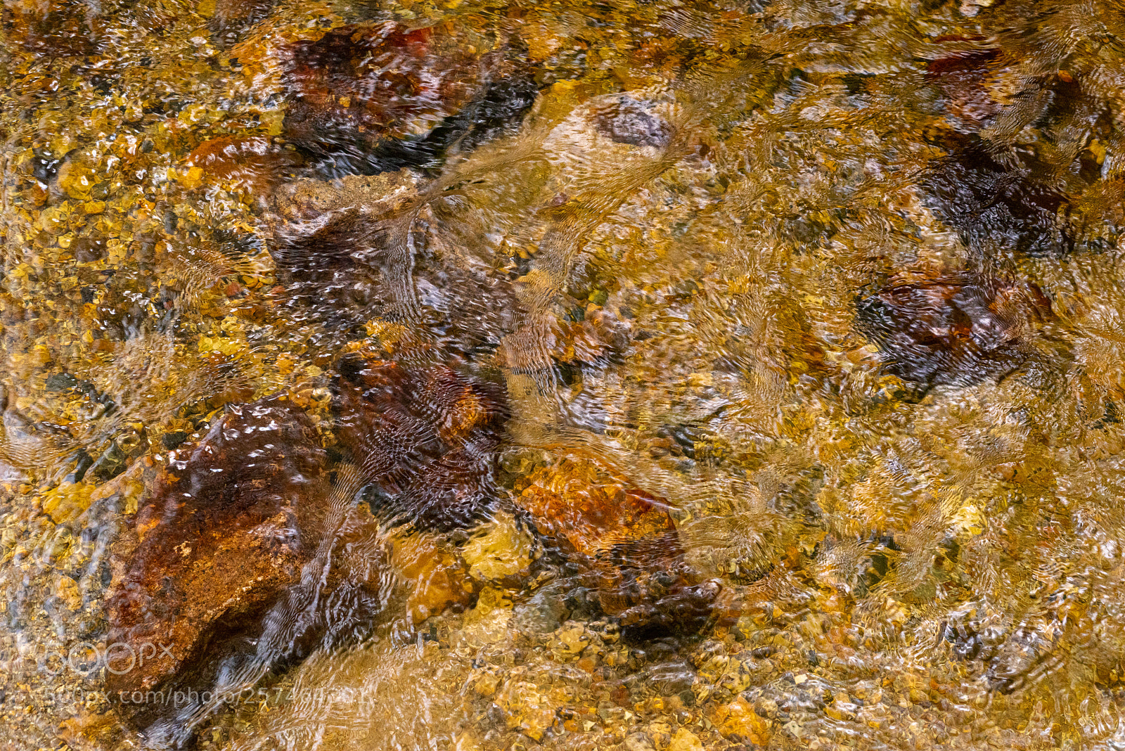 Nikon D810 sample photo. Golitha falls xv photography