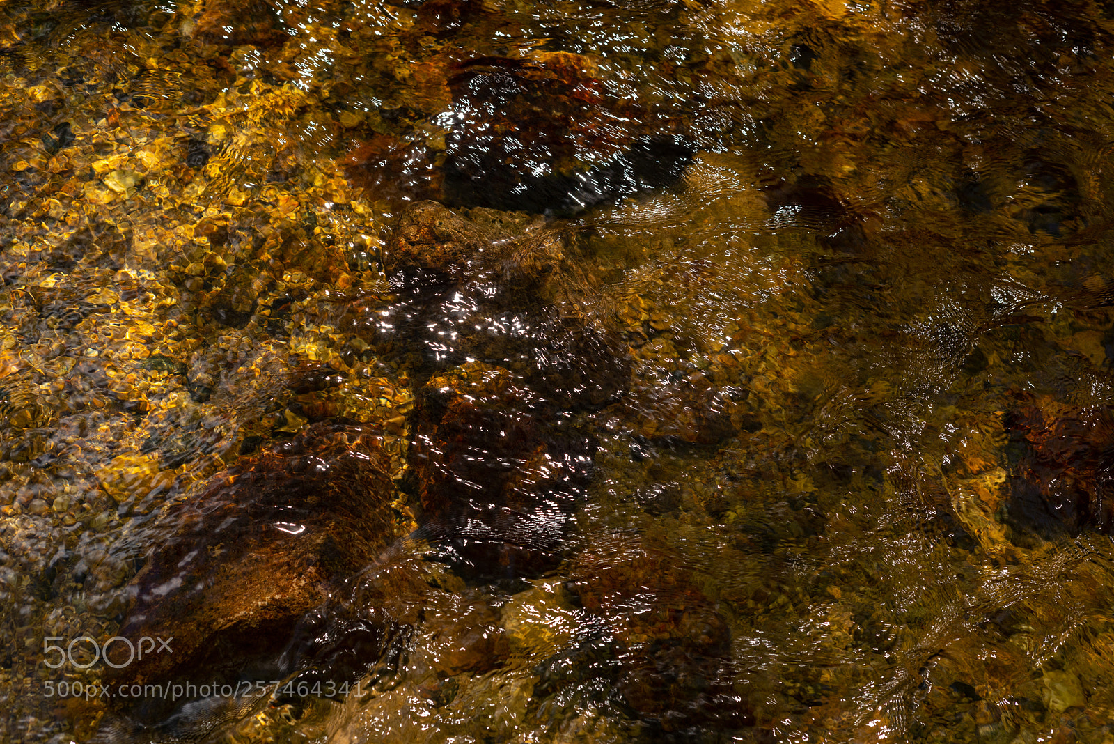 Nikon D810 sample photo. Golitha falls xvl photography