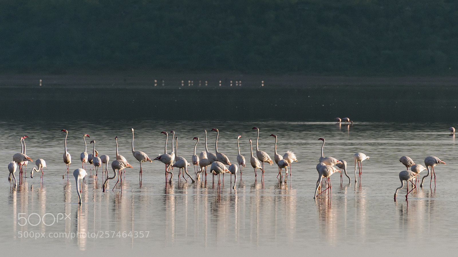 Nikon D810 sample photo. Heads up! photography