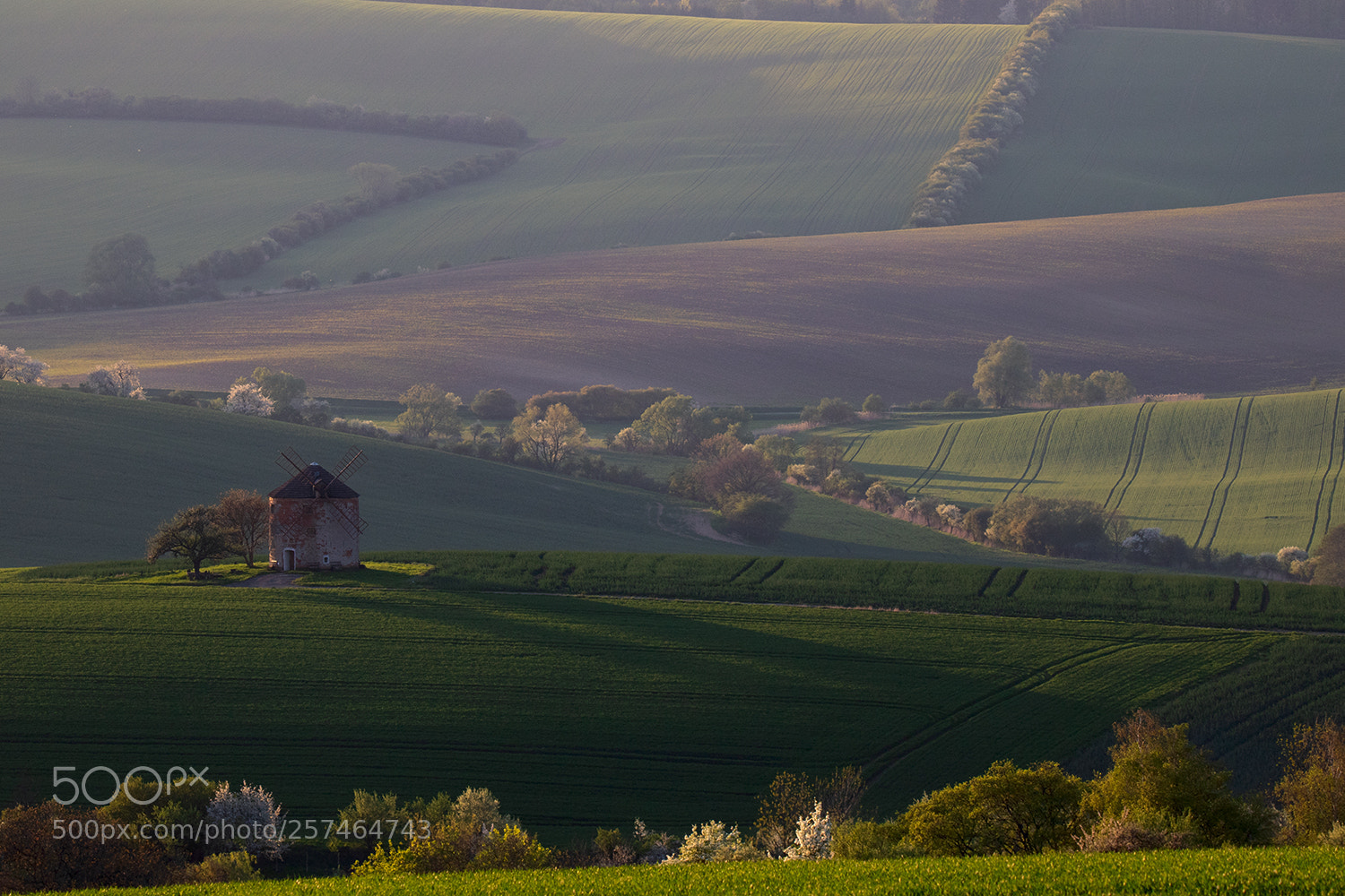 Canon EOS 750D (EOS Rebel T6i / EOS Kiss X8i) sample photo. Kunkovice photography