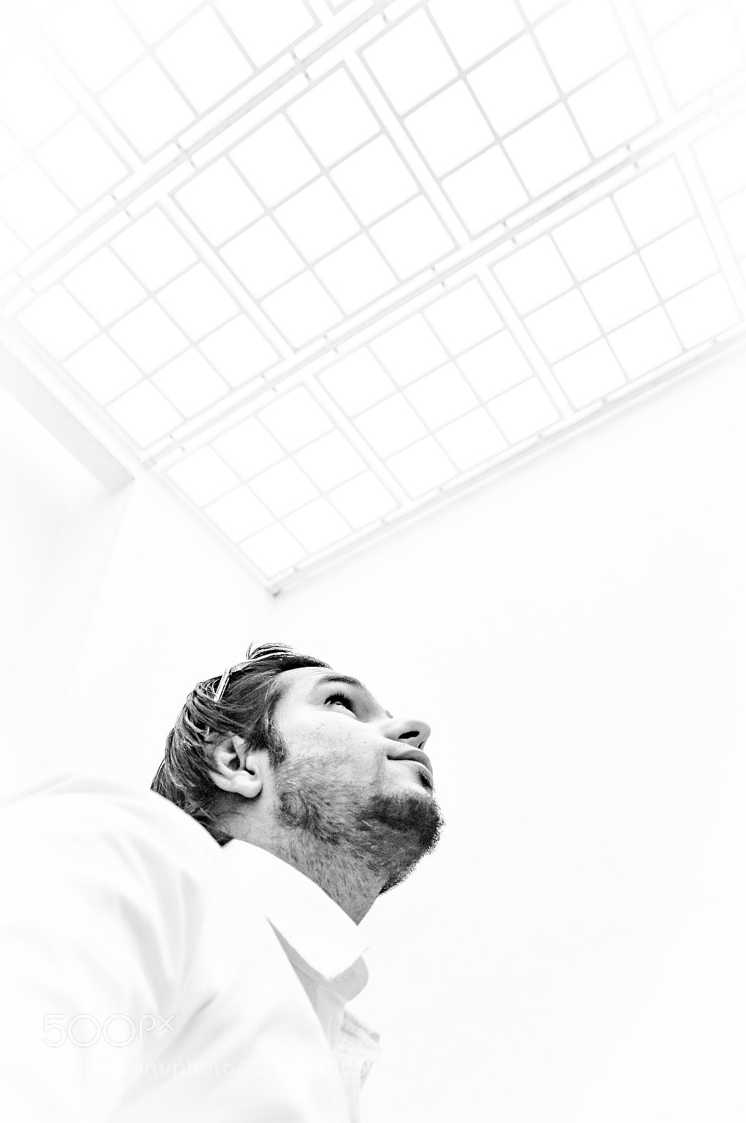 Nikon D90 sample photo. Untitled photography
