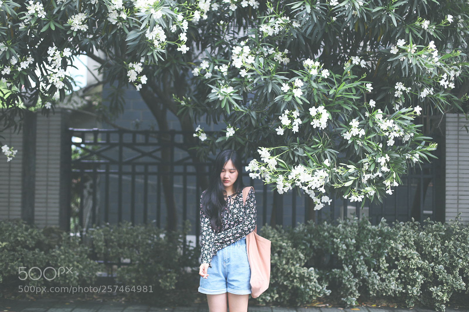 Canon EOS 6D sample photo. 我和夹竹桃 photography