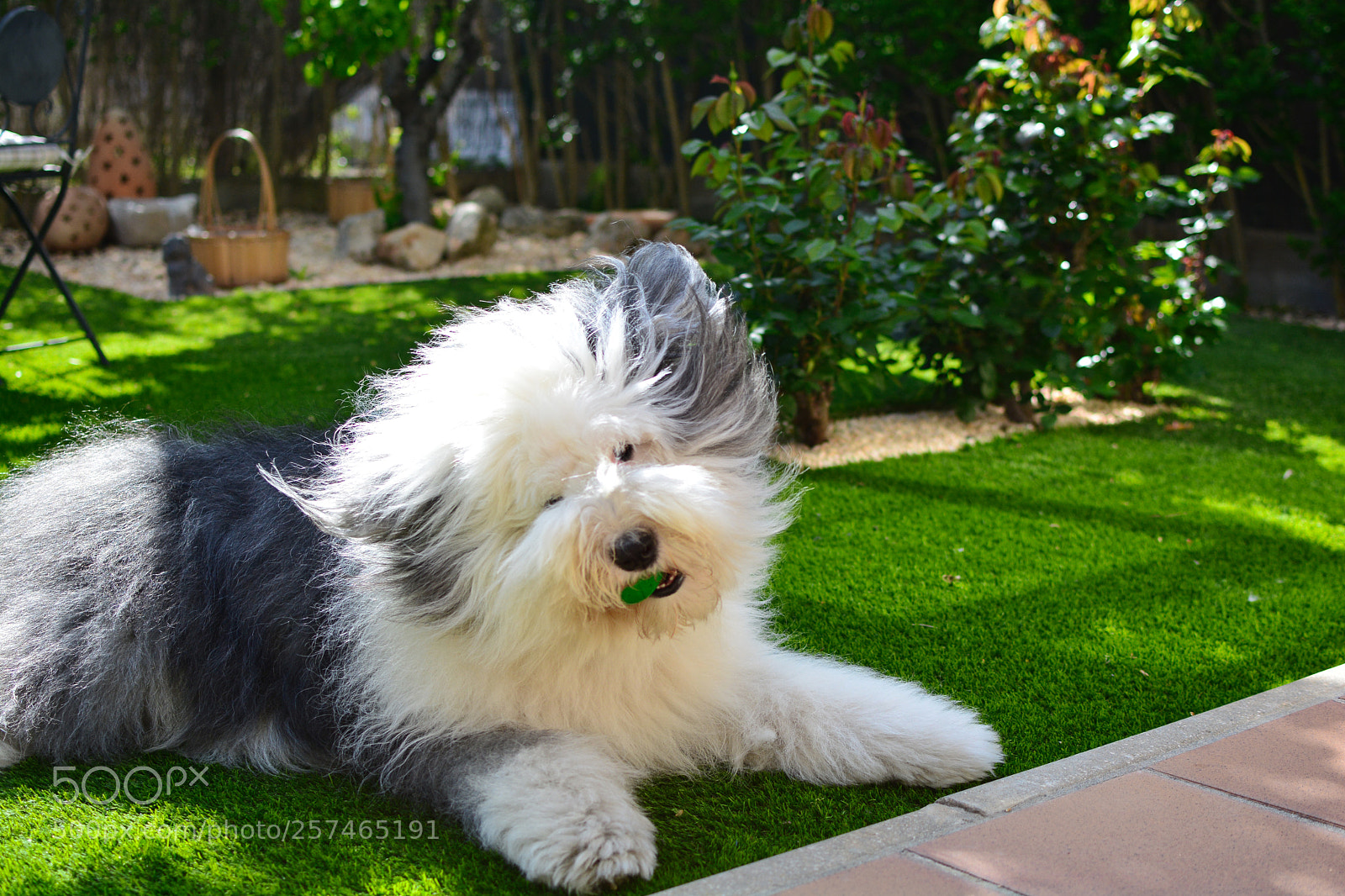 Nikon D5200 sample photo. Untitled photography