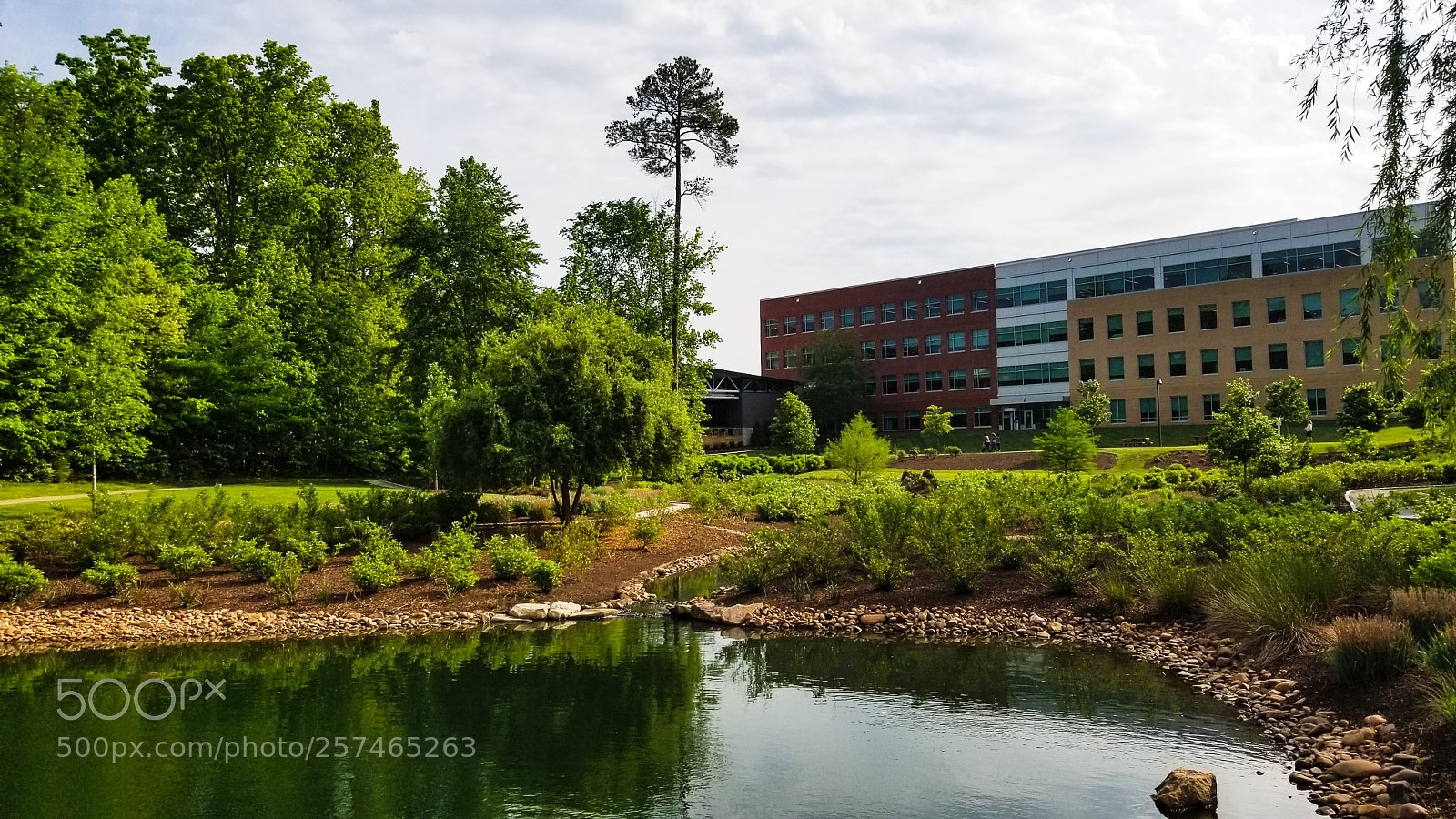 Samsung Galaxy S8 sample photo. Calm morning on campus photography