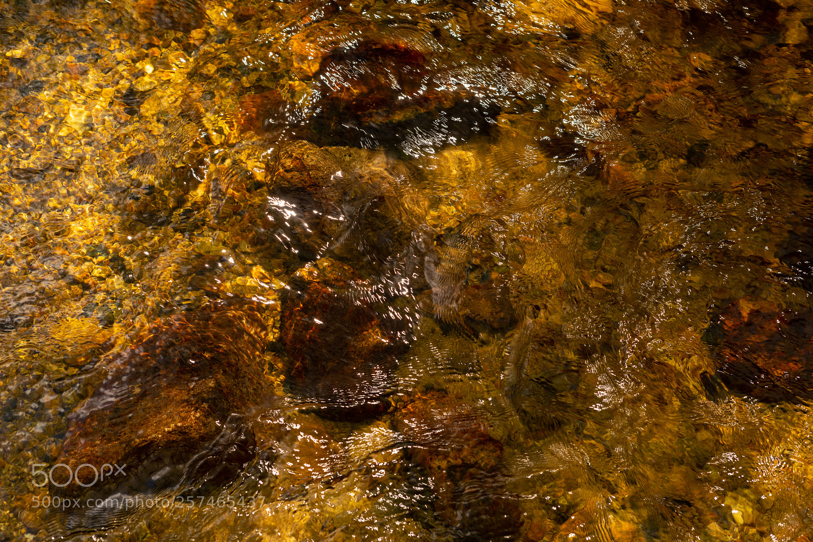 Nikon D810 sample photo. Golitha falls xvll photography
