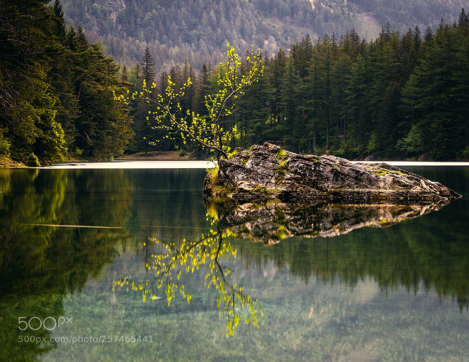 Sony a7 III sample photo. Lonely rock with tree photography