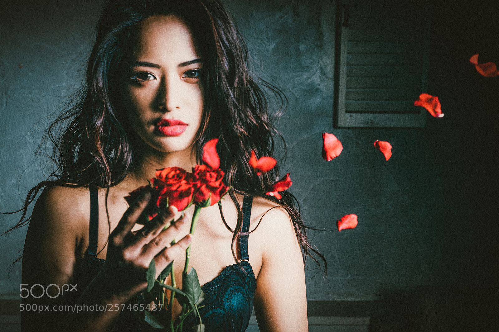 Canon EOS 5D Mark IV sample photo. Rose photography
