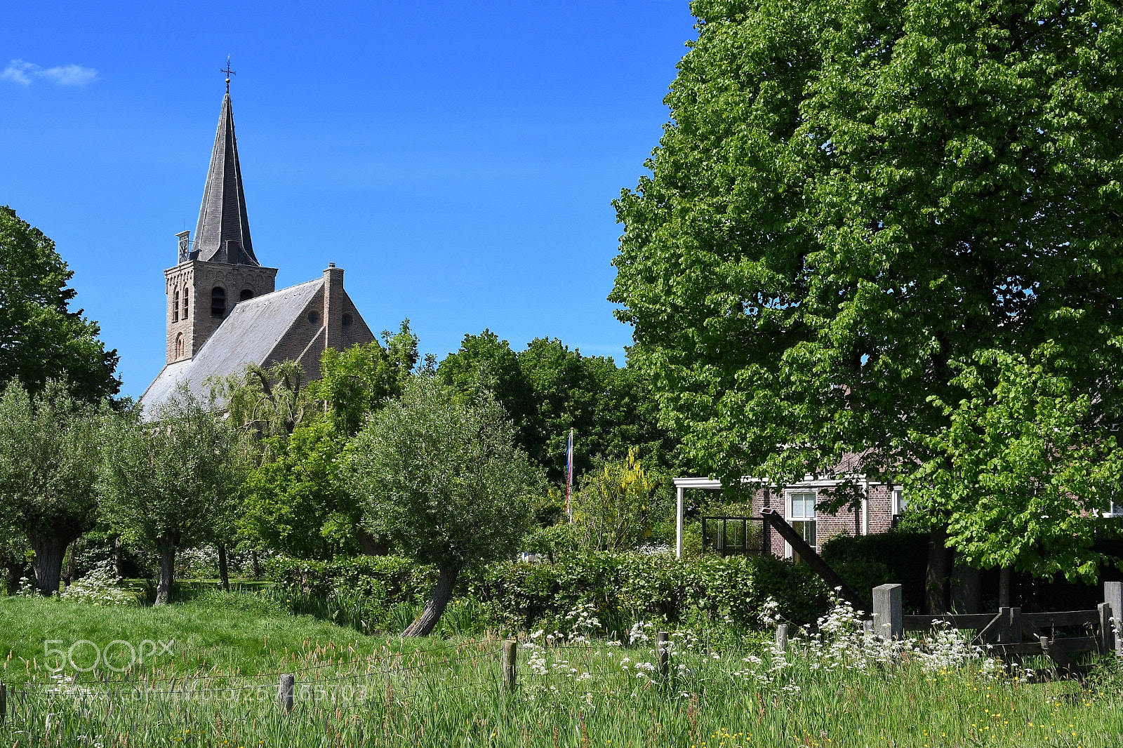 Nikon D7500 sample photo. ‘t woudt photography