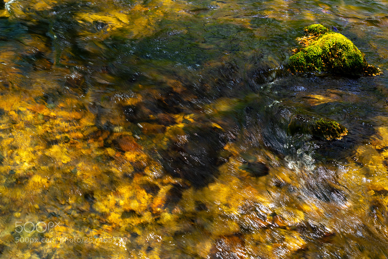 Nikon D810 sample photo. Golitha falls xvlll photography